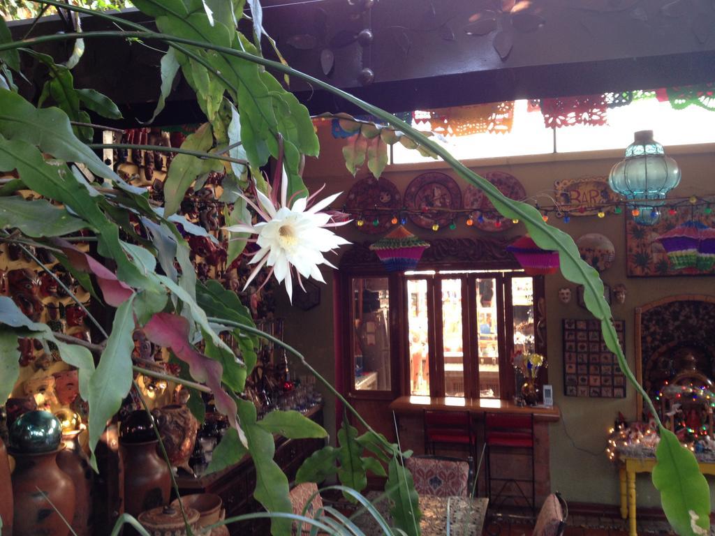 Casa De Las Flores Bed and Breakfast Tlaquepaque Eksteriør billede