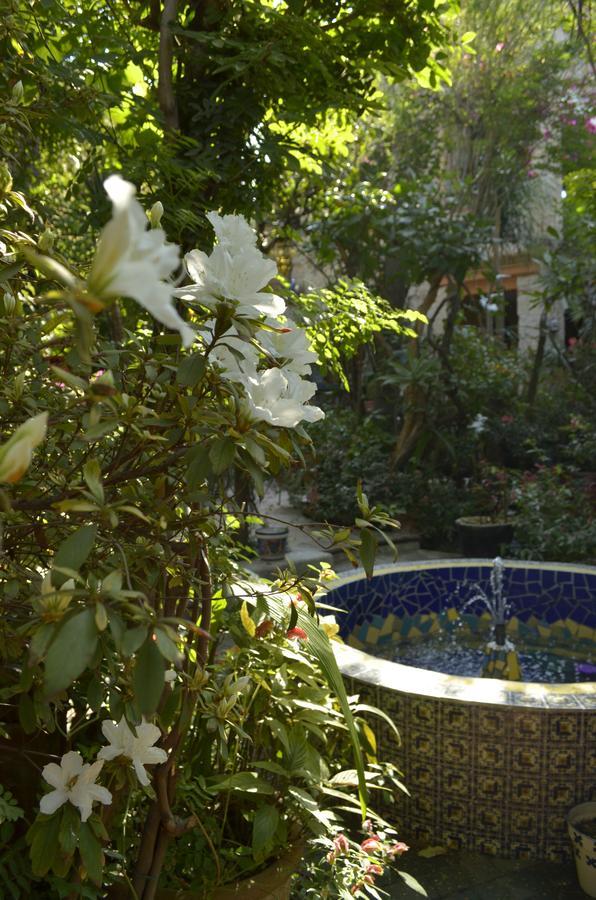 Casa De Las Flores Bed and Breakfast Tlaquepaque Eksteriør billede