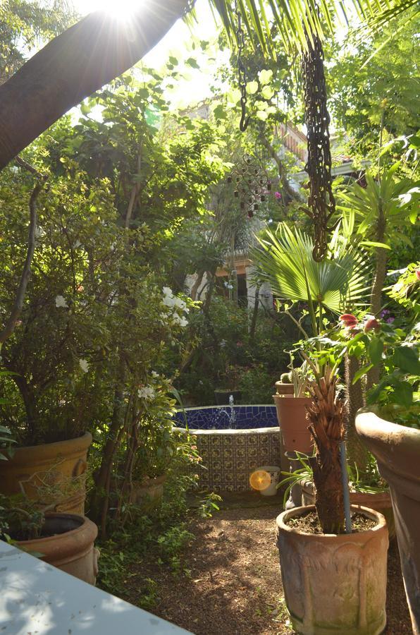 Casa De Las Flores Bed and Breakfast Tlaquepaque Eksteriør billede